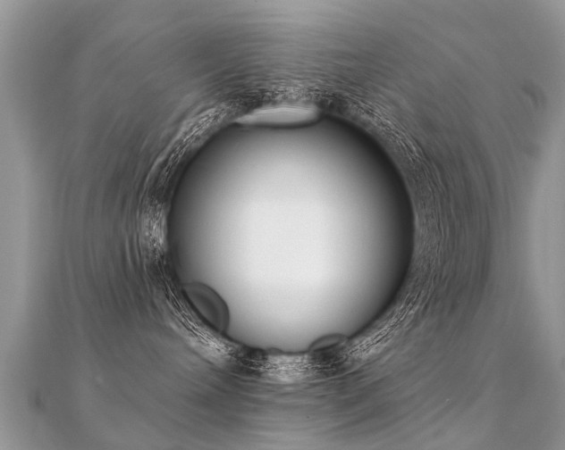 X0000112080240200908111502