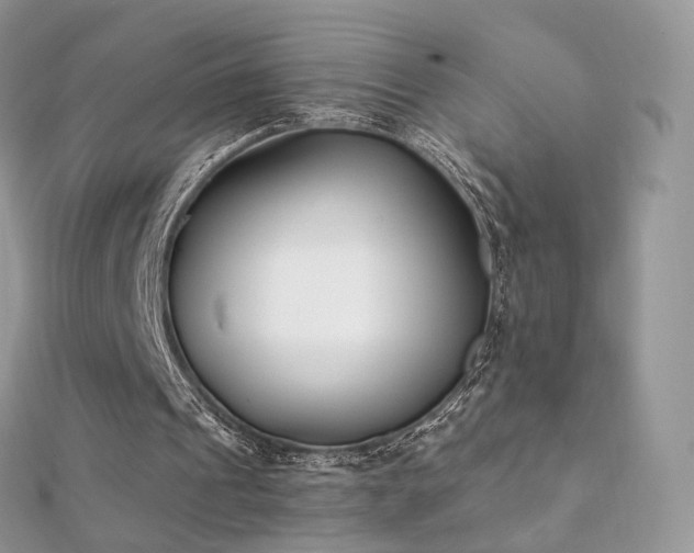 X0000112080241200908111501