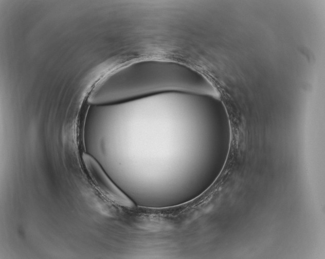 X0000112080244200908111501