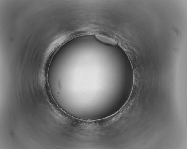 X0000112080245200908111501