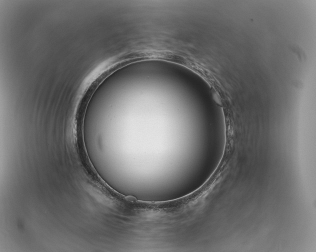 X0000112080246200908111501