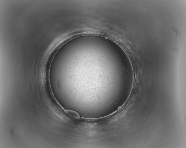 X0000112080247200908111501