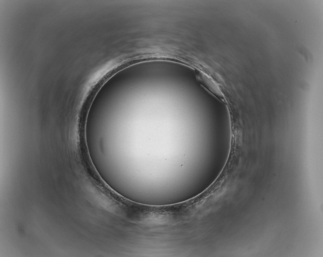 X0000112080248200908111501