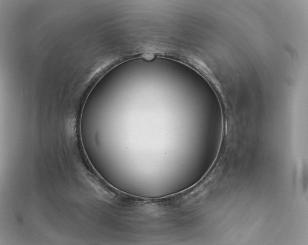 X0000112080249200908111501
