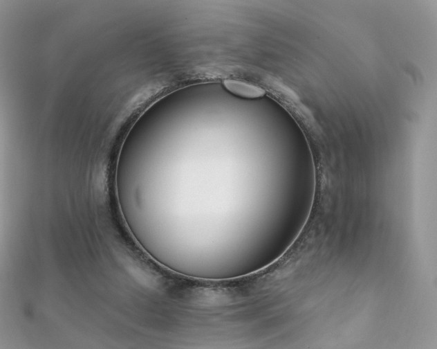 X0000112080250200908111501