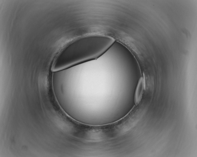 X0000112080252200908111501