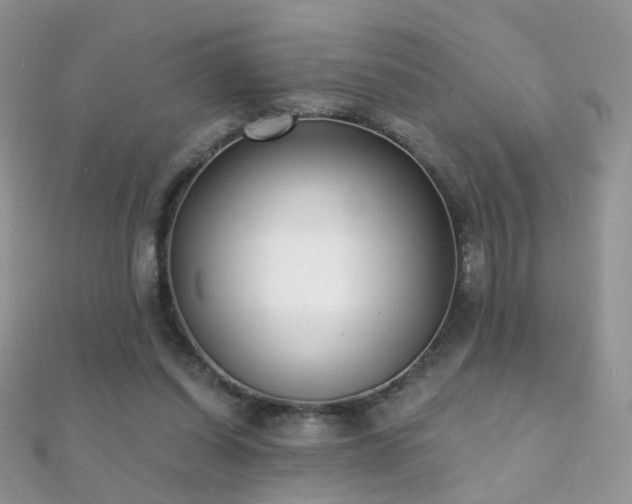 X0000112080254200908111501