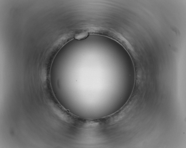 X0000112080257200908111501