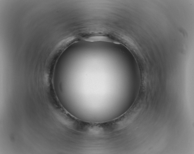 X0000112080258200908111501