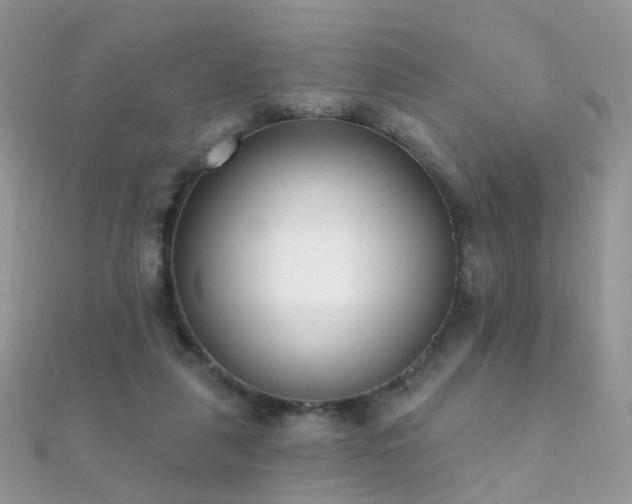 X0000112080259200908111501