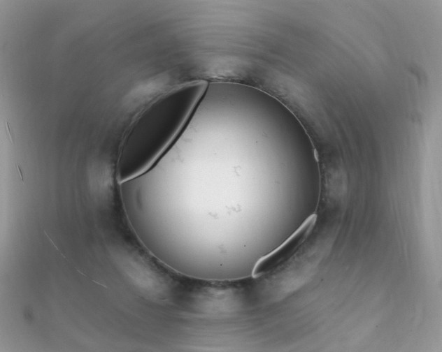 X0000112080260200908111501