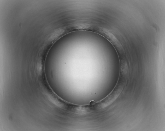 X0000112080261200908111501