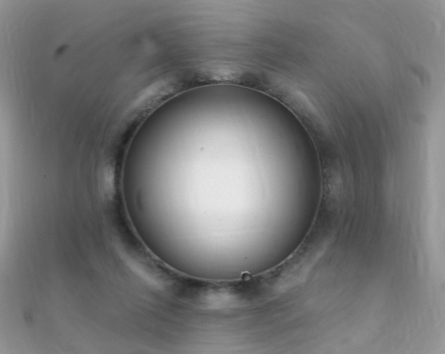 X0000112080262200908111501