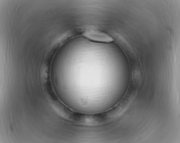 X0000112080264200908111501