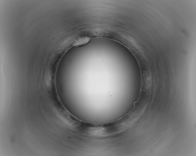 X0000112080266200908111501