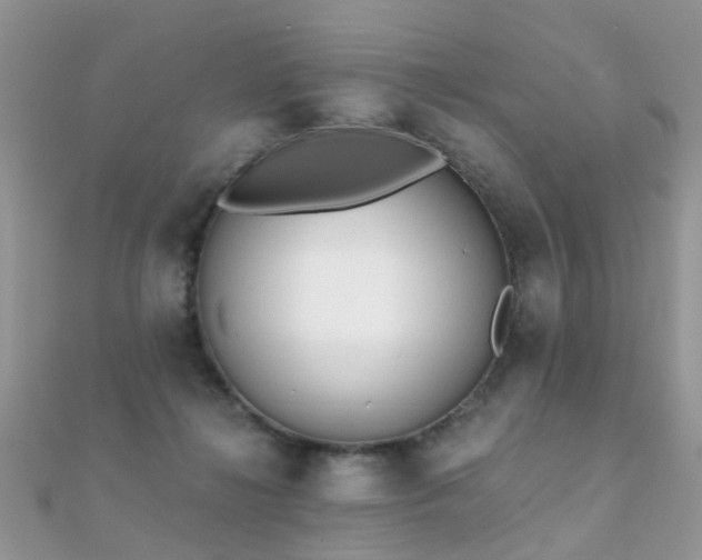 X0000112080268200908111501