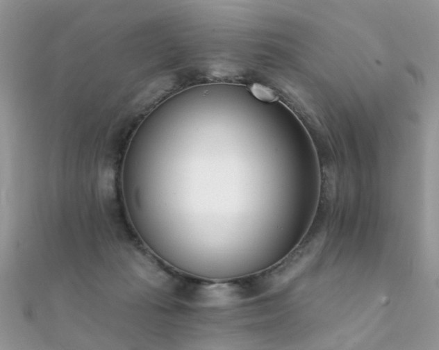 X0000112080269200908111501
