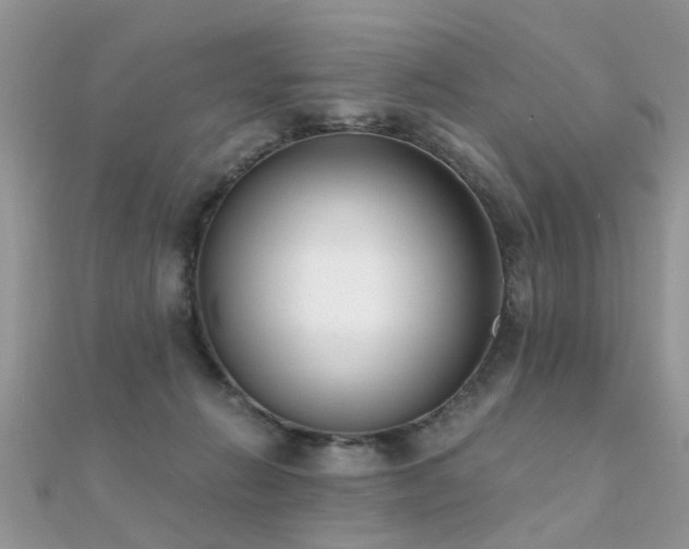 X0000112080270200908111501