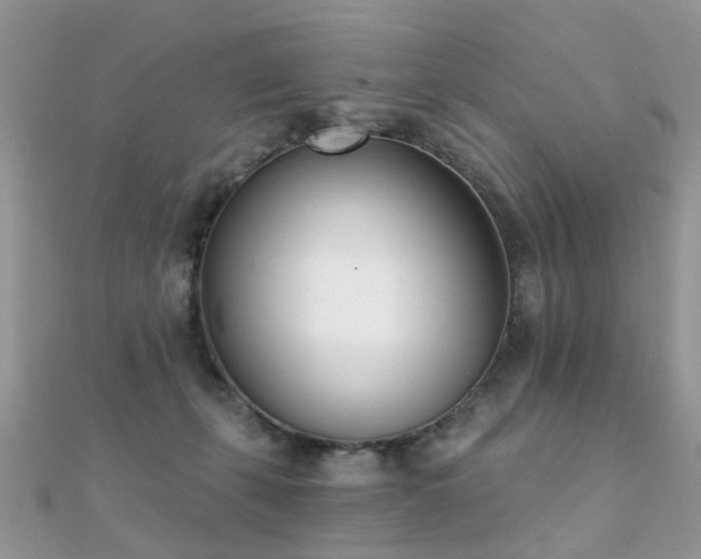 X0000112080271200908111501