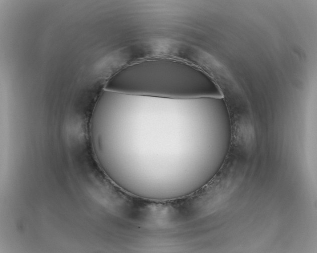 X0000112080272200908111501
