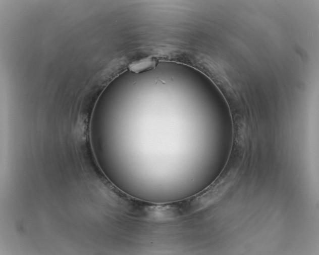 X0000112080273200908111501