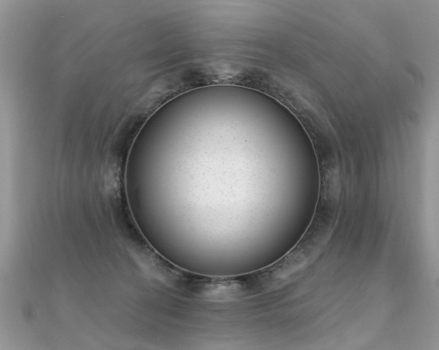 X0000112080274200908111501
