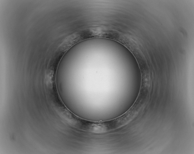 X0000112080275200908111501