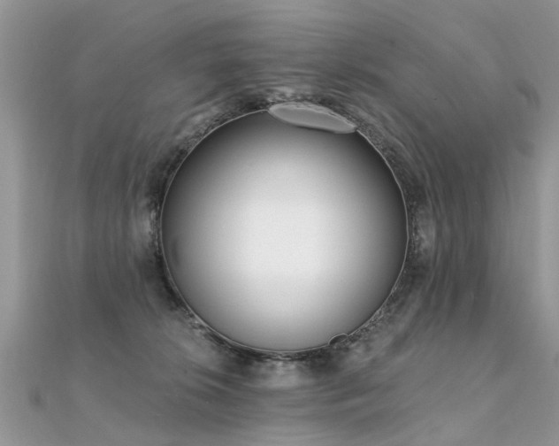 X0000112080276200908111501