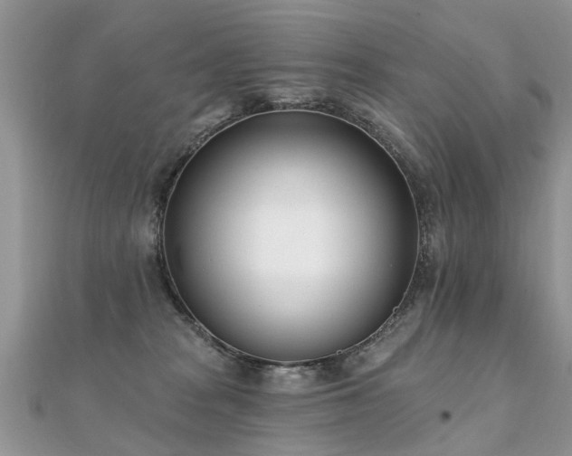 X0000112080277200908111501