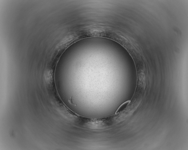 X0000112080278200908111501