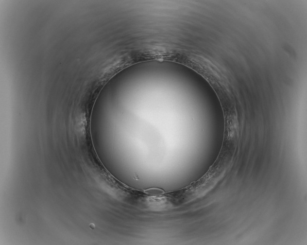 X0000112080279200908111501