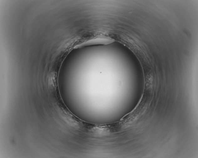 X0000112080280200908111501