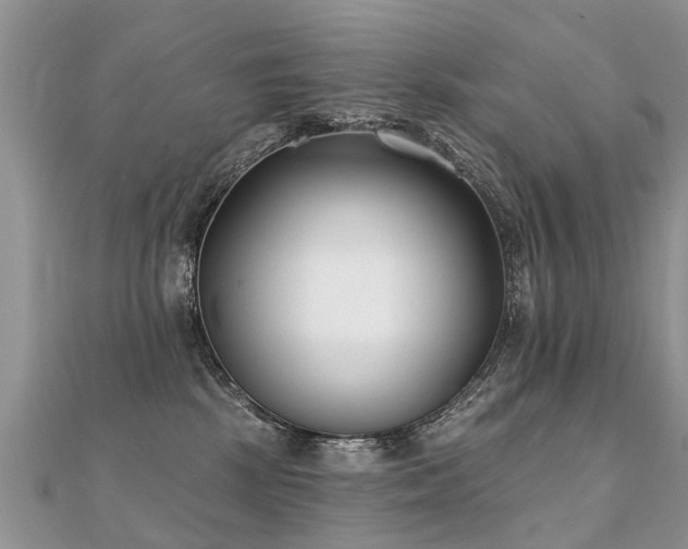 X0000112080281200908111501