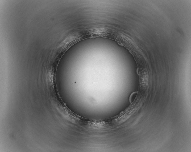 X0000112080282200908111501