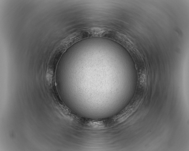X0000112080283200908111501