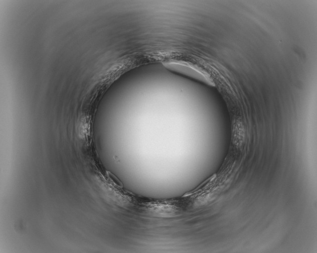 X0000112080284200908111501
