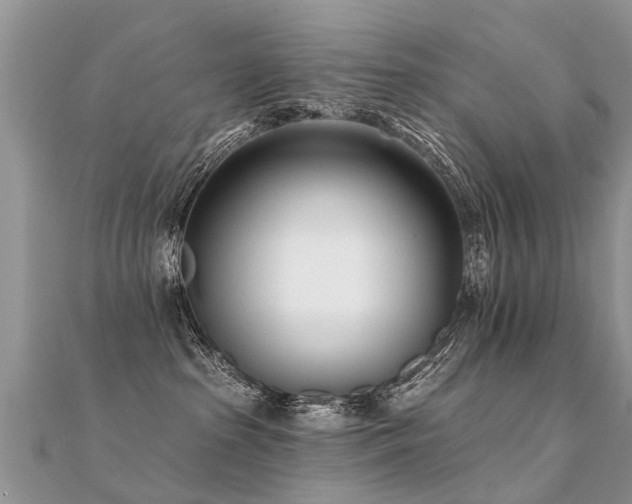 X0000112080285200908111501