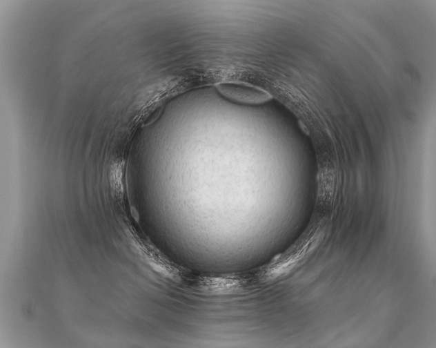 X0000112080286200908111501