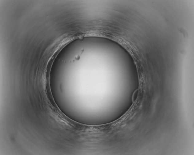 X0000112080290200908111501