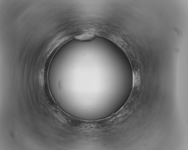 X0000112080291200908111501