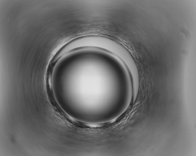 X0000112080292200908111501