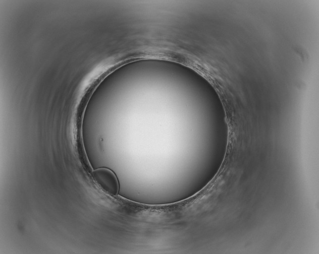 X0000112080294200908111501