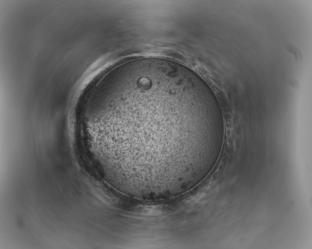 X0000112080295200908111501