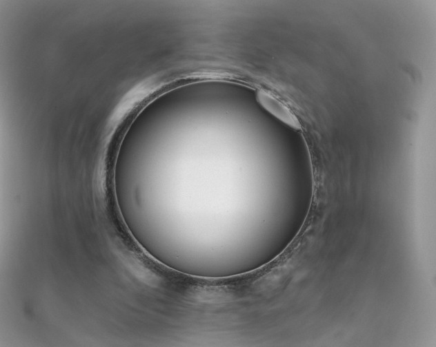 X0000112080296200908111501