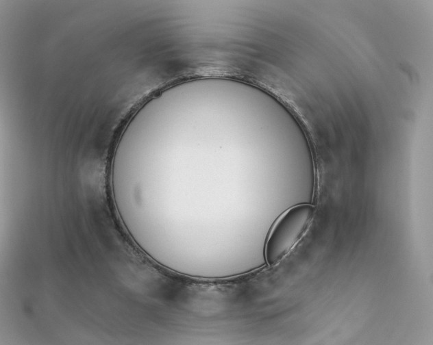 X0000112080297200908111501