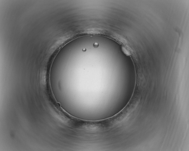 X0000112080299200908111501