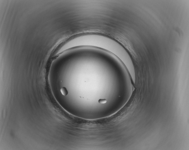 X0000112080300200908111501