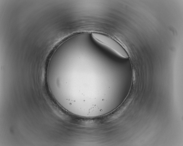 X0000112080301200908111501