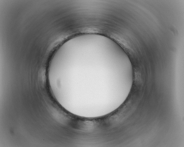 X0000112080302200908111501