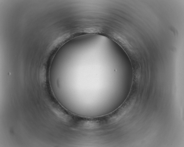 X0000112080303200908111501
